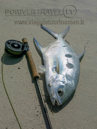 Cattura Pesca a Mosca in Oman